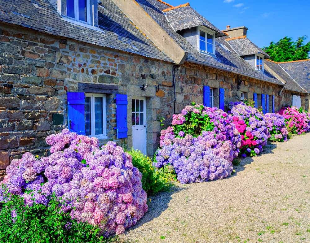 Loyer Maison Village France